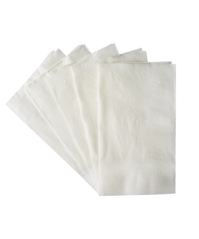 NAPKIN DINNER 15 X 17 2 PLY 20/150