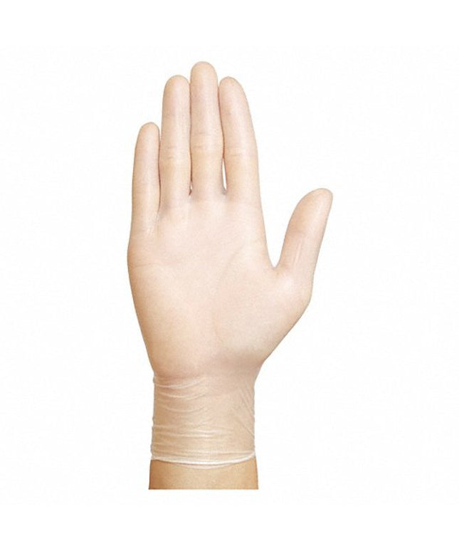 NO POWDER VINYL GLOVES XL 10/100 CS