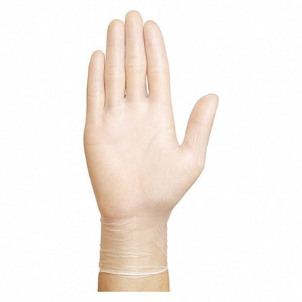 NO POWDER VINYL GLOVES LARGE 10/100 CS